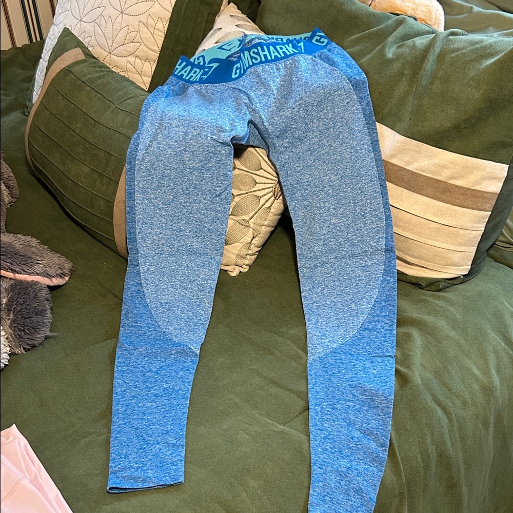Gymshark Blue Seamless Leggings with Teal Waistband
